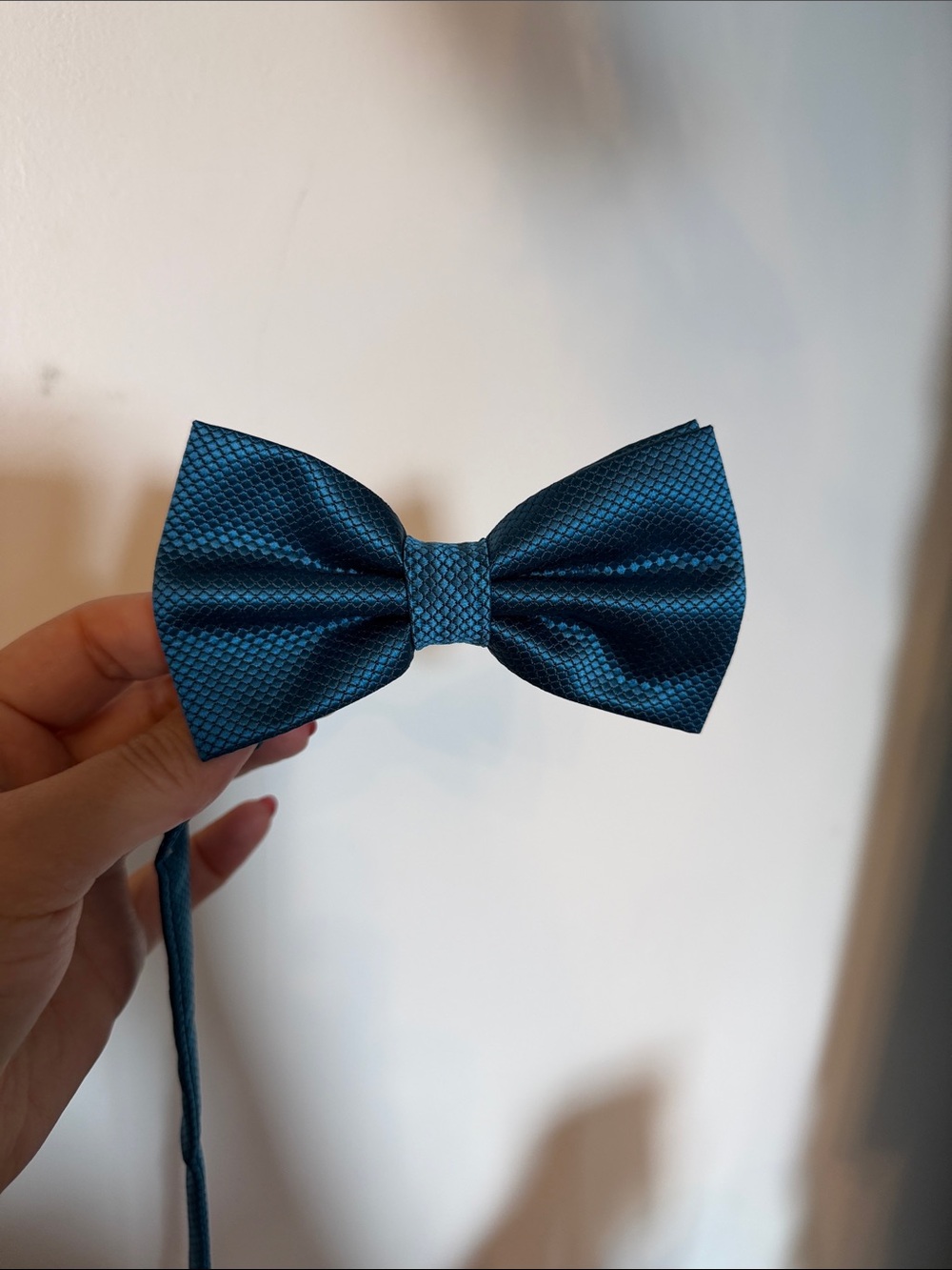 le chateau Teal Textured Bow Tie